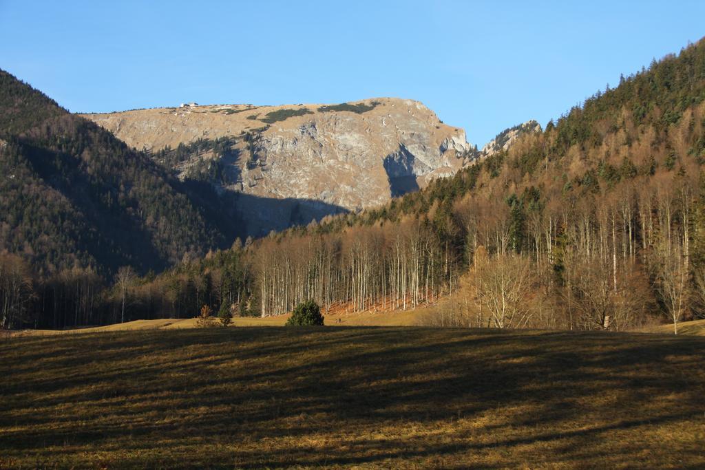 Haus Seeschwalbe Saint Wolfgang 외부 사진